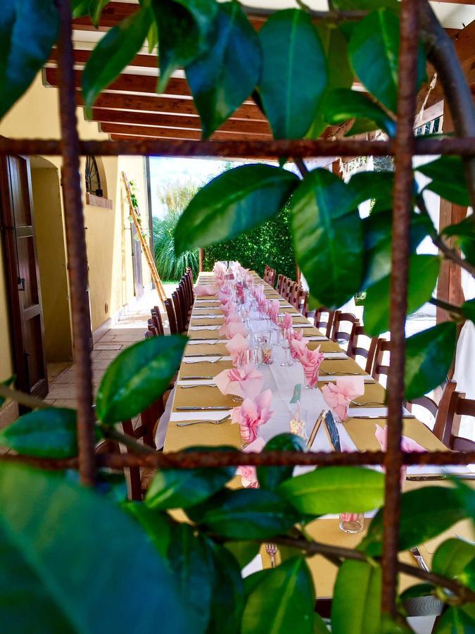 Agriturismo Ca Nuova Minerbio Ngoại thất bức ảnh